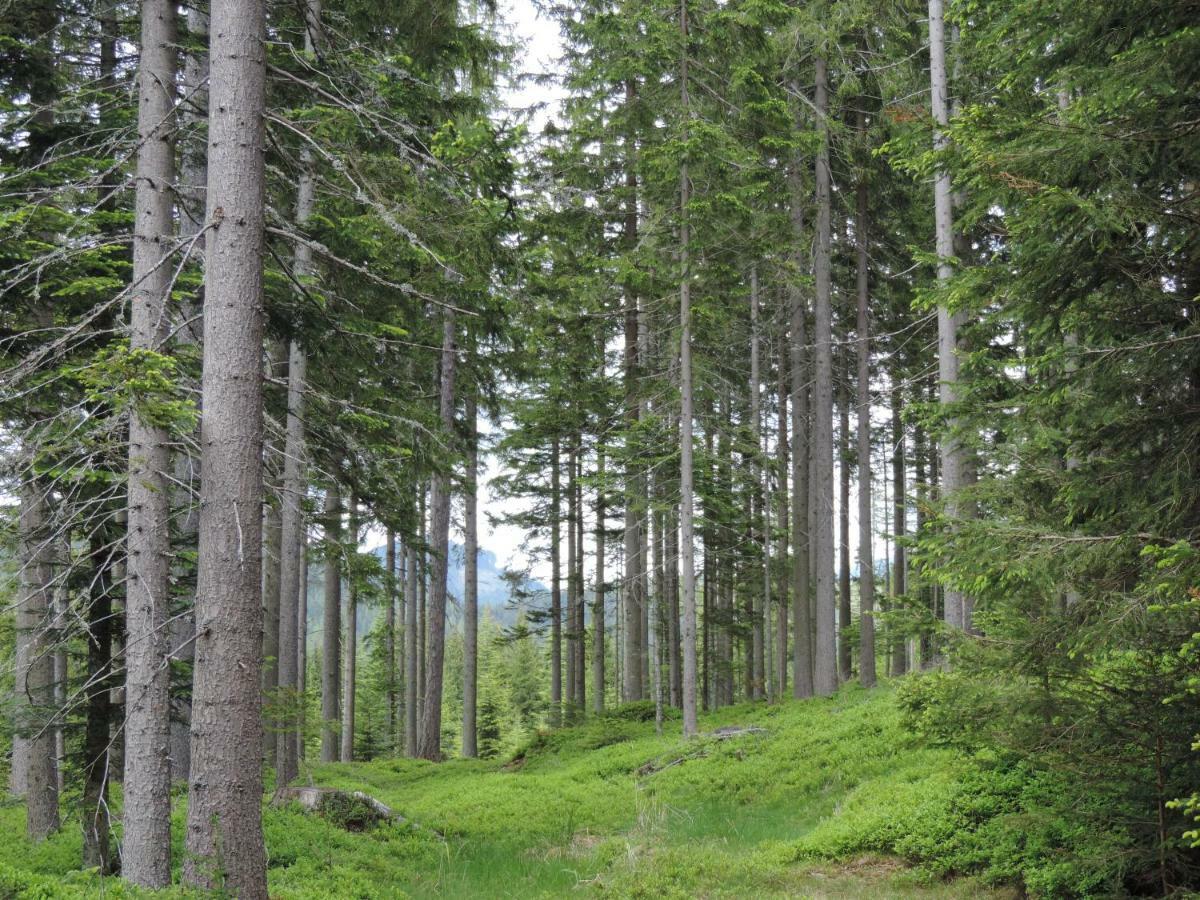 Urlaub Am Bauernhof Grabenhofer Villa ซังค์ยาคอบ อิม วาลเดอ ภายนอก รูปภาพ