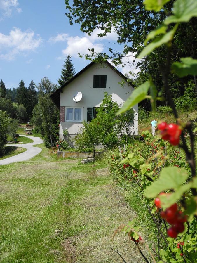 Urlaub Am Bauernhof Grabenhofer Villa ซังค์ยาคอบ อิม วาลเดอ ภายนอก รูปภาพ
