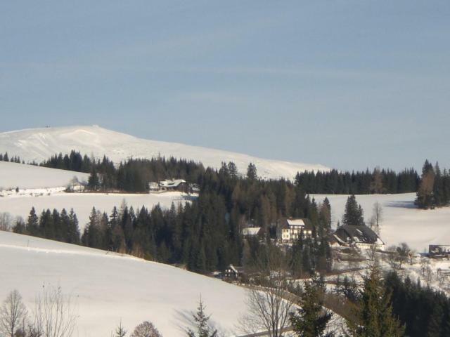 Urlaub Am Bauernhof Grabenhofer Villa ซังค์ยาคอบ อิม วาลเดอ ภายนอก รูปภาพ